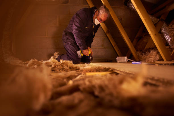 Best Eco-Friendly Insulation in Johnstown, PA